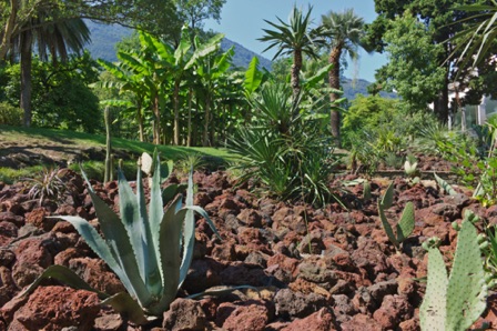 Isola di Brissago (CH)